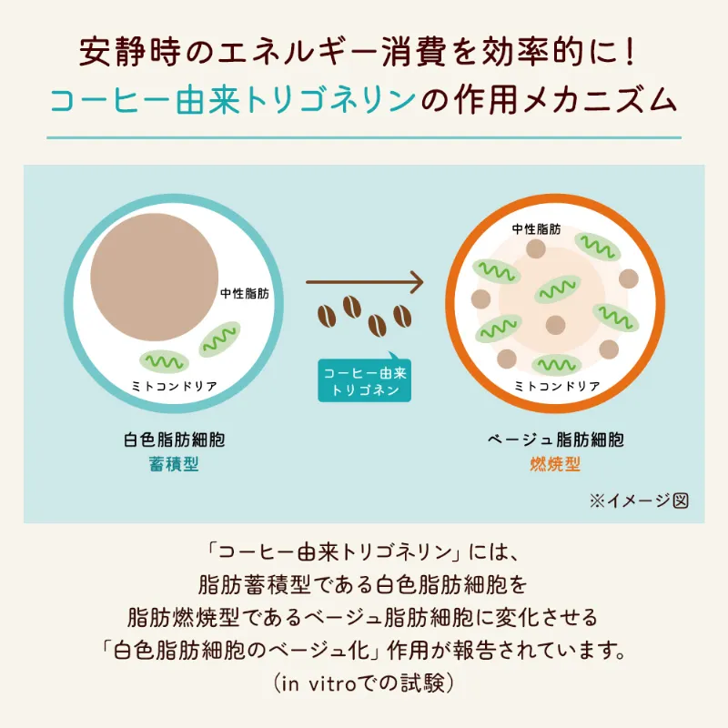 UCC ＆Healthy おいしい代謝ケア ワンドリップコーヒー 4杯分（カフェインレス）