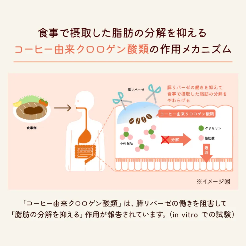 UCC ＆Healthy おいしい中性脂肪ケア 140g（粉）