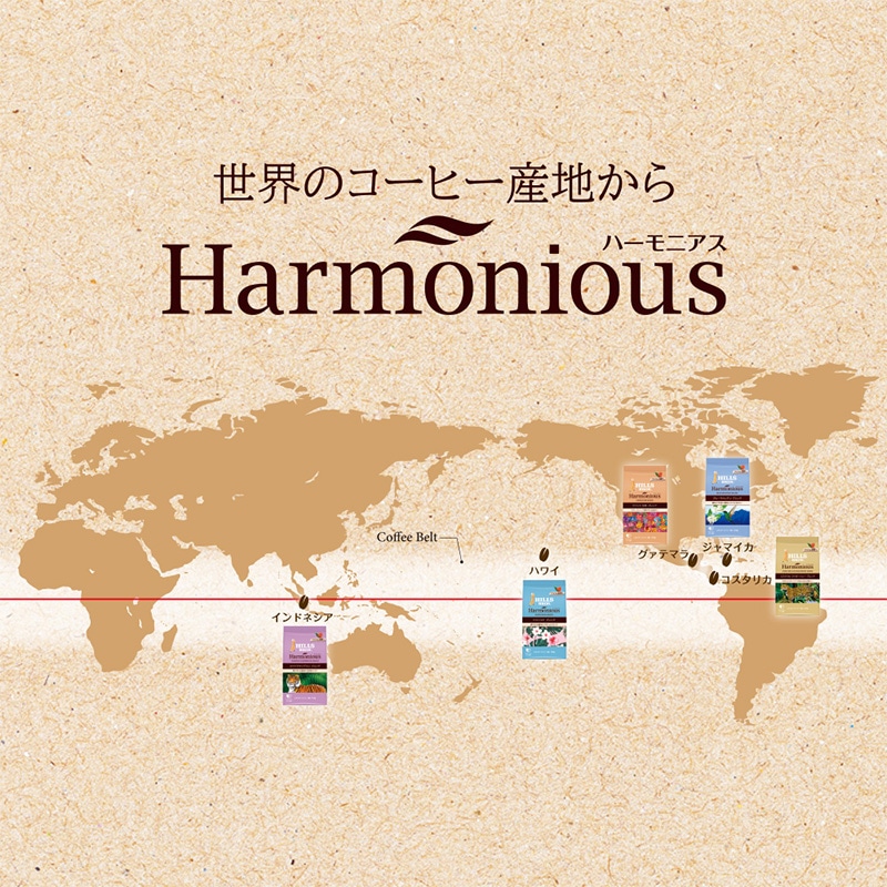 ヒルス ハーモニアス ゲイシャSHBブレンド 100g（粉）