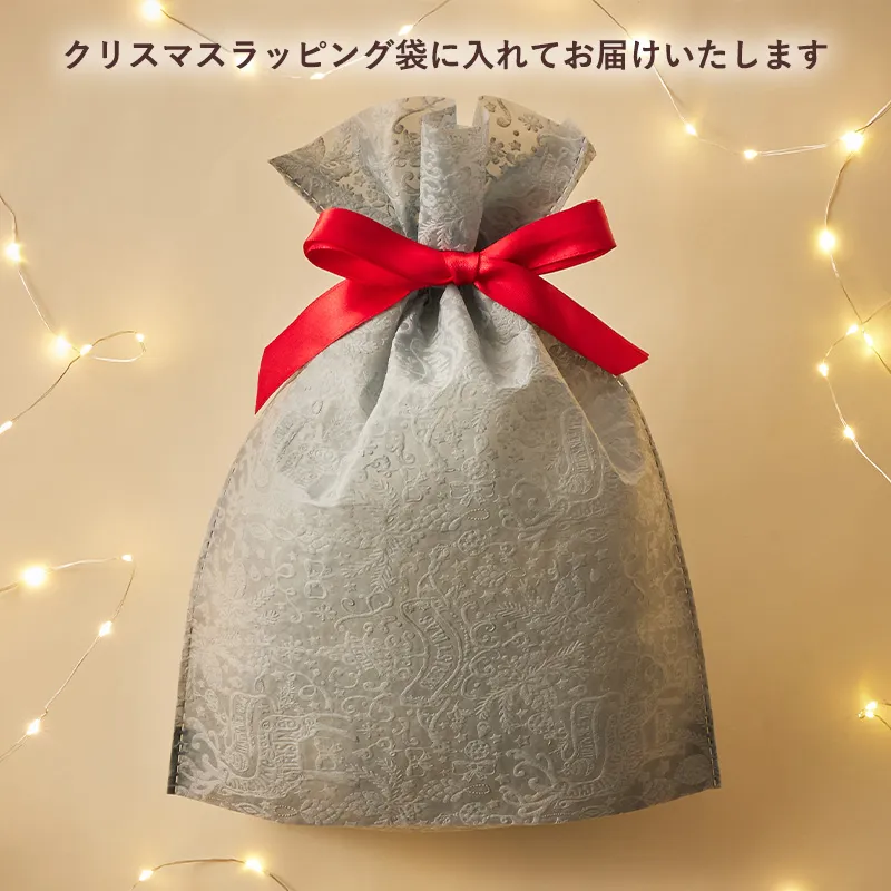 CAFE@HOME ムーミン谷 クリスマスギフトセット