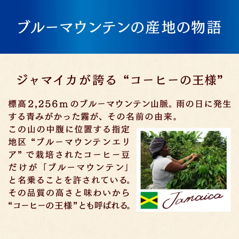 UCC 珈琲探究 ワンドリップコーヒー 産地セレクション 7杯分