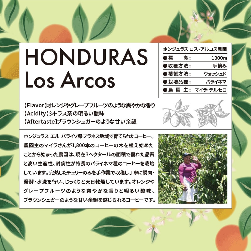 【アウトレット】UCC MOUNTAIN MIST ホンジュラス ロス・アルコス農園 200g（豆）