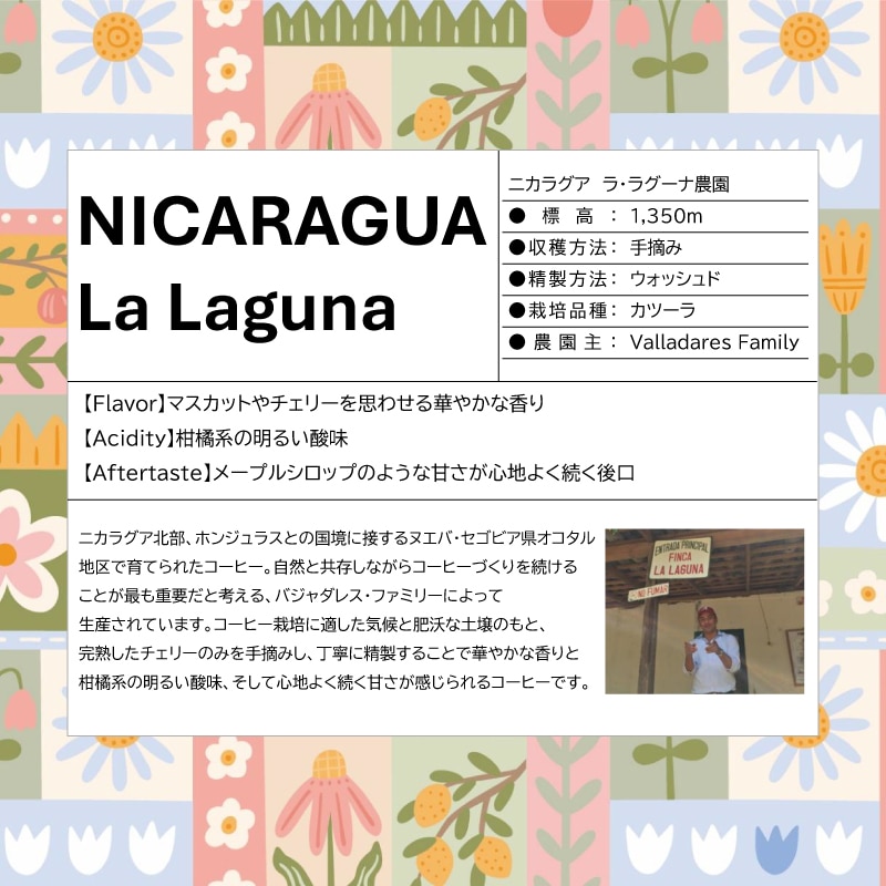 UCC MOUNTAIN MIST ニカラグア ラ・ラグーナ農園 200g（豆）