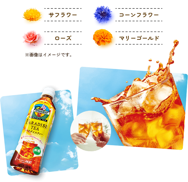 サフラワー、コーンフラワー、ローズ、マリーゴールド