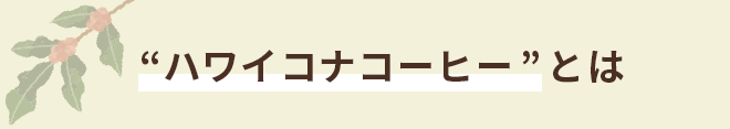 ハワイコナコーヒーとは